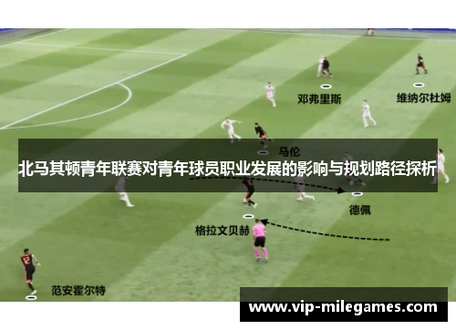 北马其顿青年联赛对青年球员职业发展的影响与规划路径探析 北马其顿青年联赛对青年球员职业发展的影响与规划路径探析