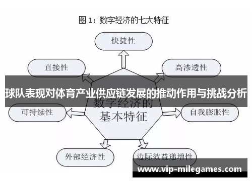 球队表现对体育产业供应链发展的推动作用与挑战分析