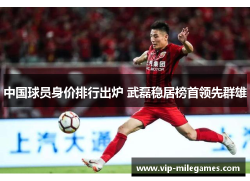 中国球员身价排行出炉 武磊稳居榜首领先群雄 中国球员身价排行出炉 武磊稳居榜首领先群雄