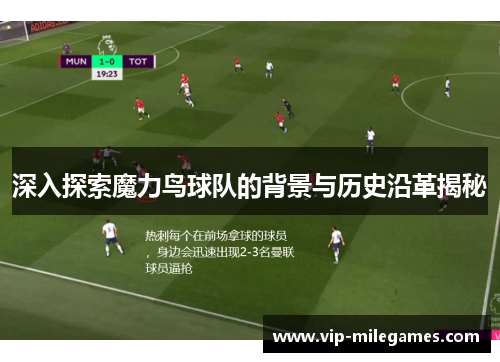 深入探索魔力鸟球队的背景与历史沿革揭秘