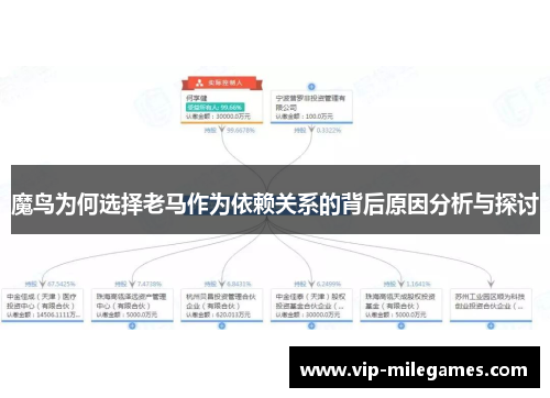 魔鸟为何选择老马作为依赖关系的背后原因分析与探讨 魔鸟为何选择老马作为依赖关系的背后原因分析与探讨