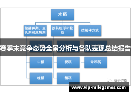 赛季末竞争态势全景分析与各队表现总结报告 赛季末竞争态势全景分析与各队表现总结报告