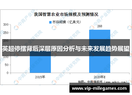 英超停摆背后深层原因分析与未来发展趋势展望 英超停摆背后深层原因分析与未来发展趋势展望